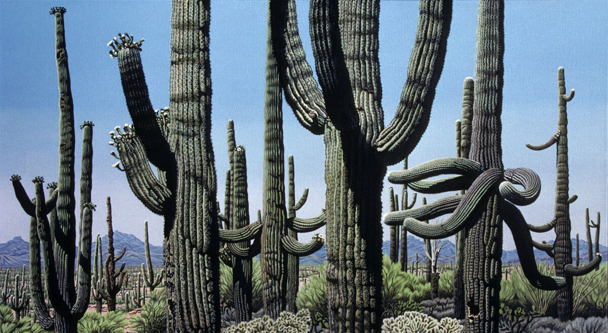 Urs Brunner Arizona 1