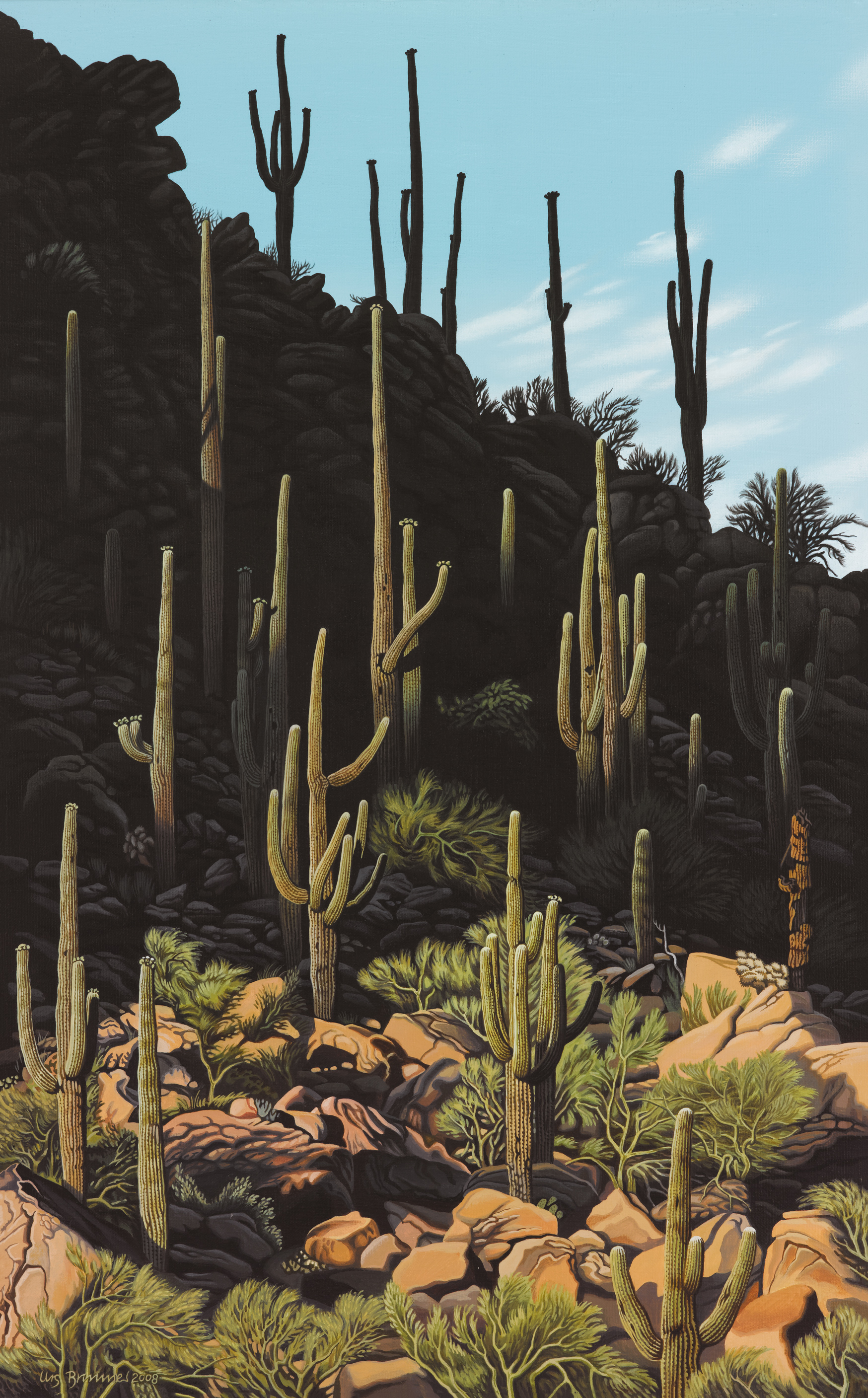 Bajada / Arizona, 2008, Acryl auf Leinwand, 80 x 50 cm
