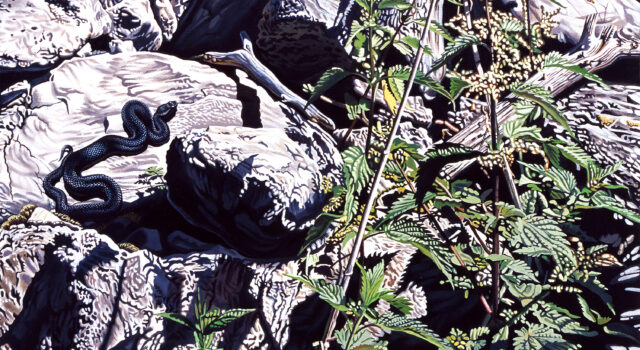 Schlangen-Habitat II / Aspisviper / Berner Voralpen, 1996, Acryl auf Leinwand, 92 x 65 cm