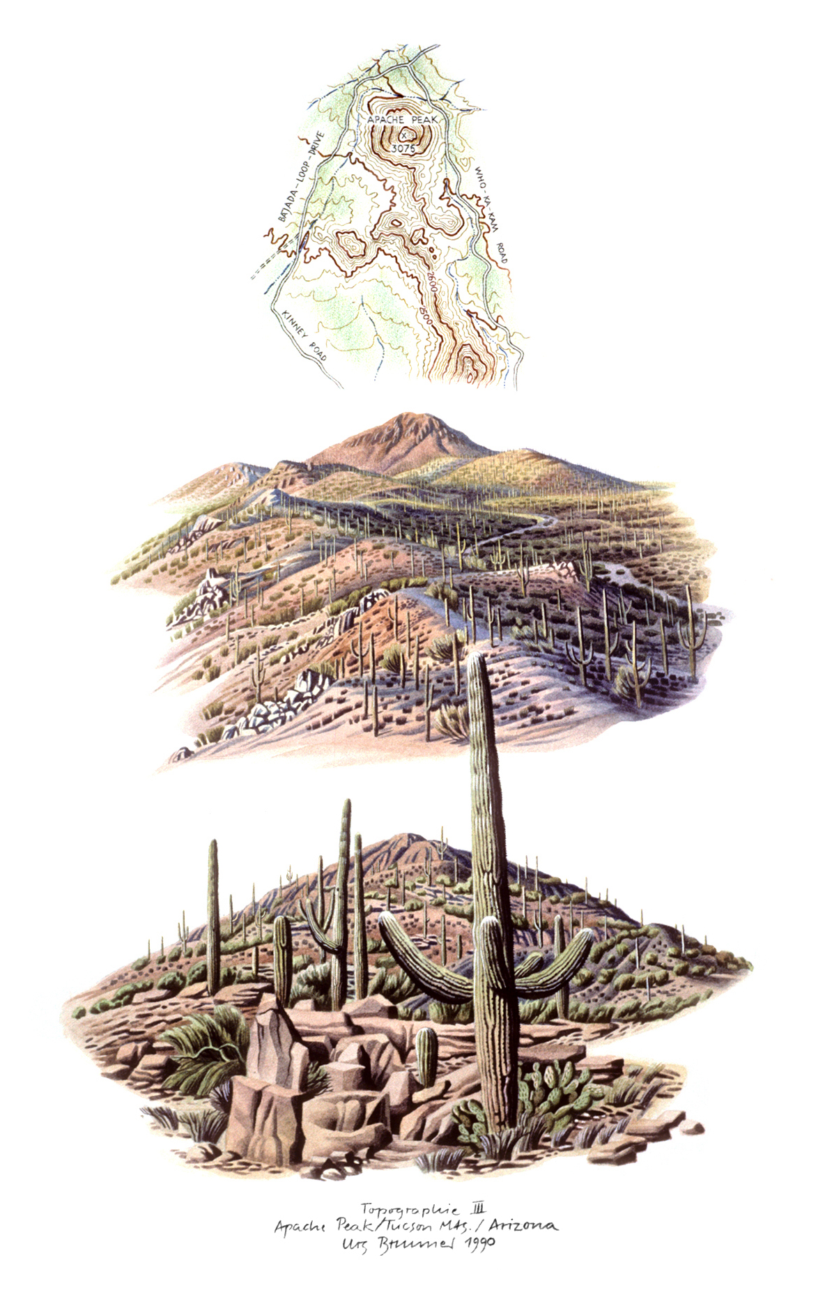 Topographie lll / Apache Peak, 1990, Aquarell und Farbstift auf Papier, 40 x 30 cm