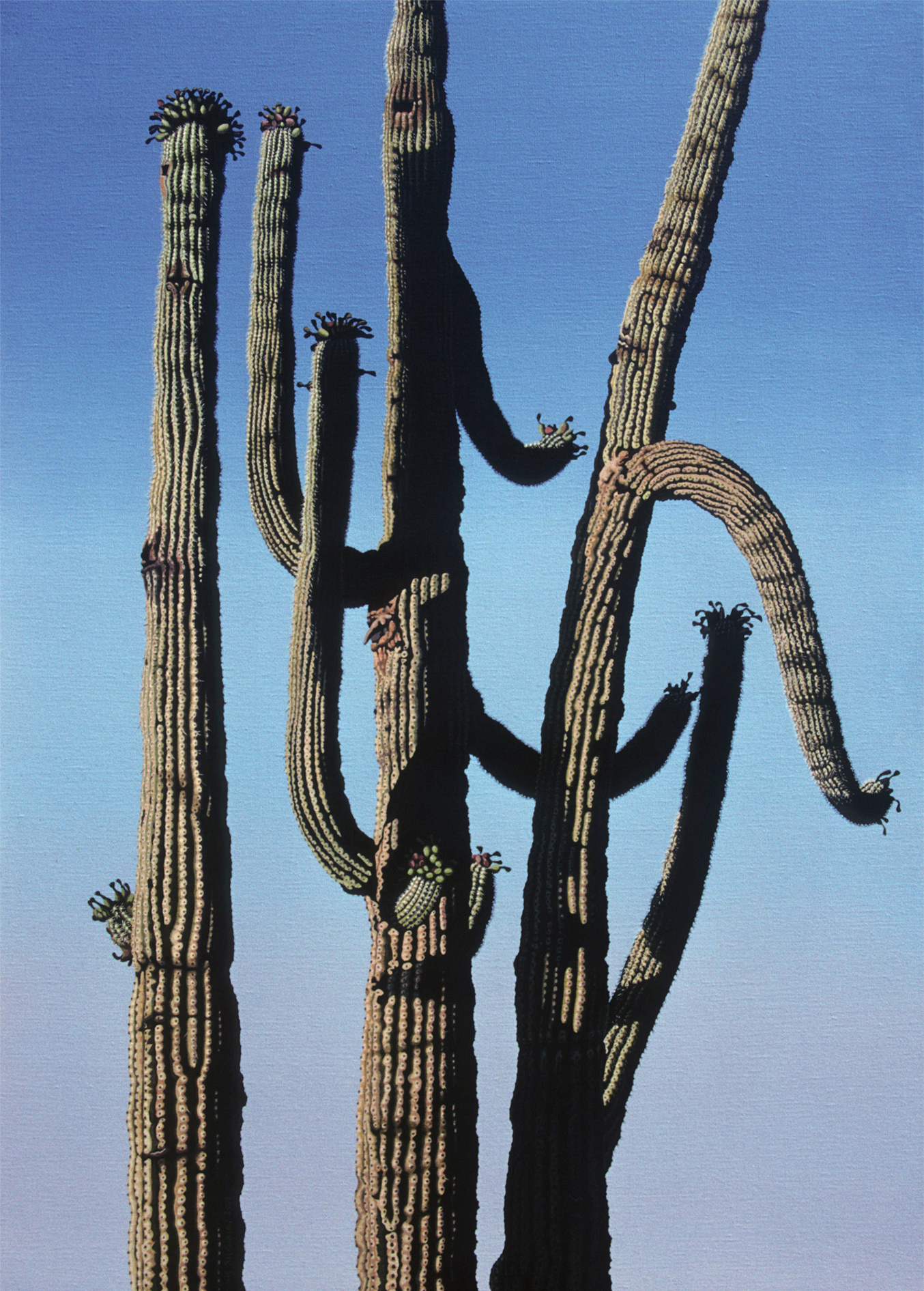 Drei Saguaros, 2008, Acryl auf Leinwand, 100 x 70 cm
