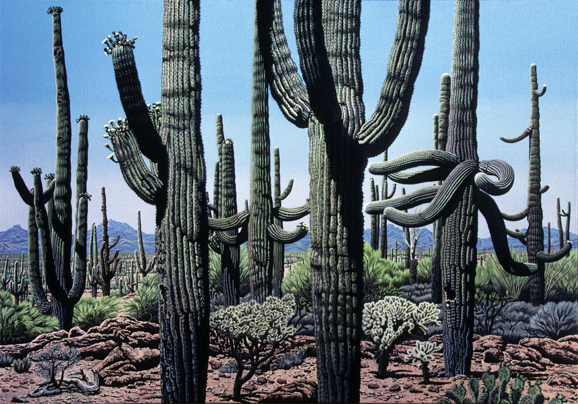 Far West / Arizona-Sonora-Desert, 2010, Acryl auf Leinwand, 70 x 100 cm