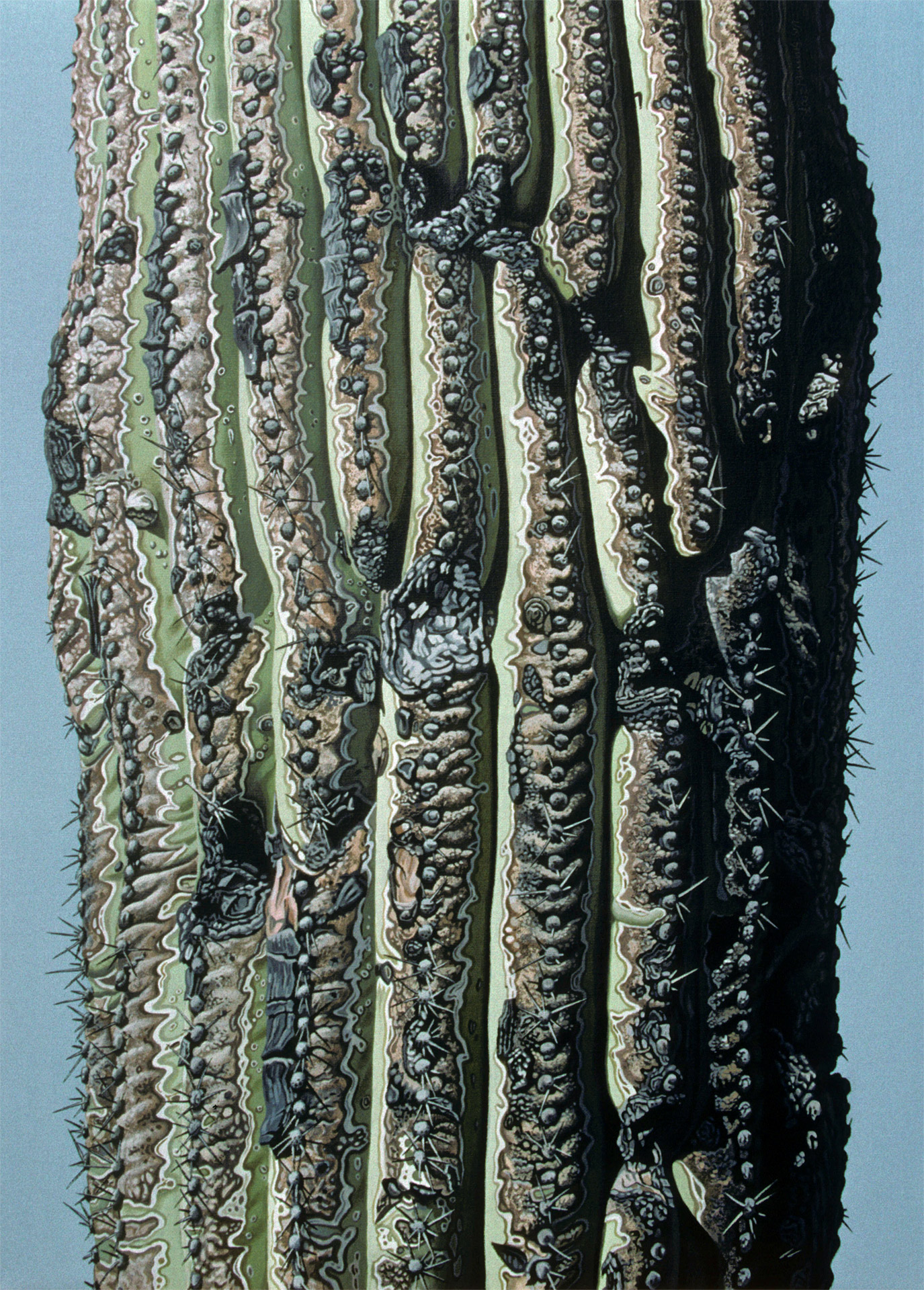 Saguaro-Stamm (Massstab 1:1), 2007, Acryl auf Leinwand, 70 x 50 cm