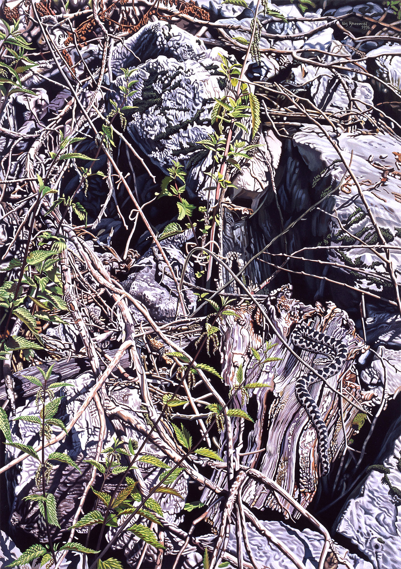 Schlangen-Habitat I / Aspisviper / Berner Voralpen, 1996, Acryl auf Leinwand, 92 x 65 cm