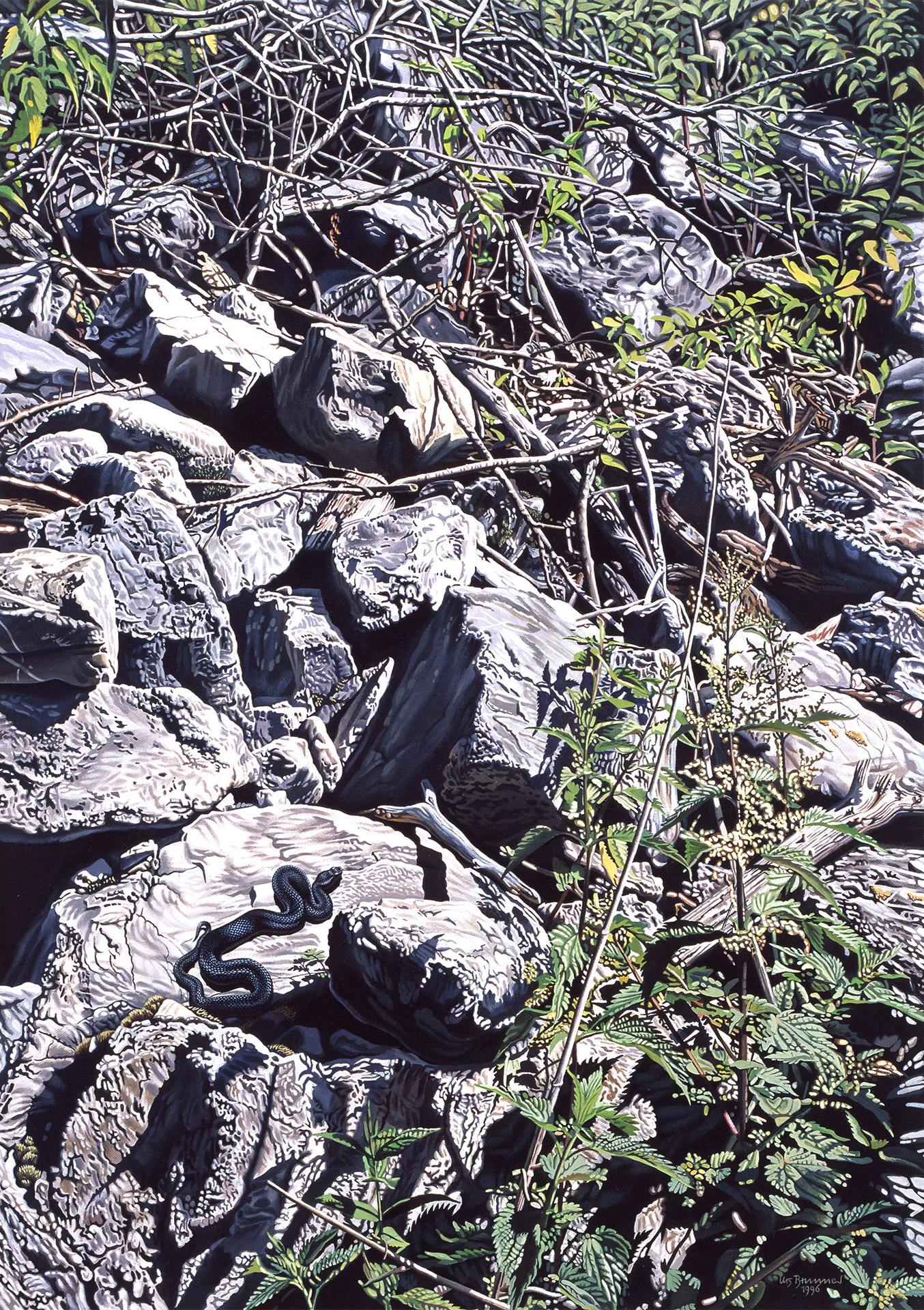 Schlangen-Habitat II / Aspisviper / Berner Voralpen, 1996, Acryl auf Leinwand, 92 x 65 cm