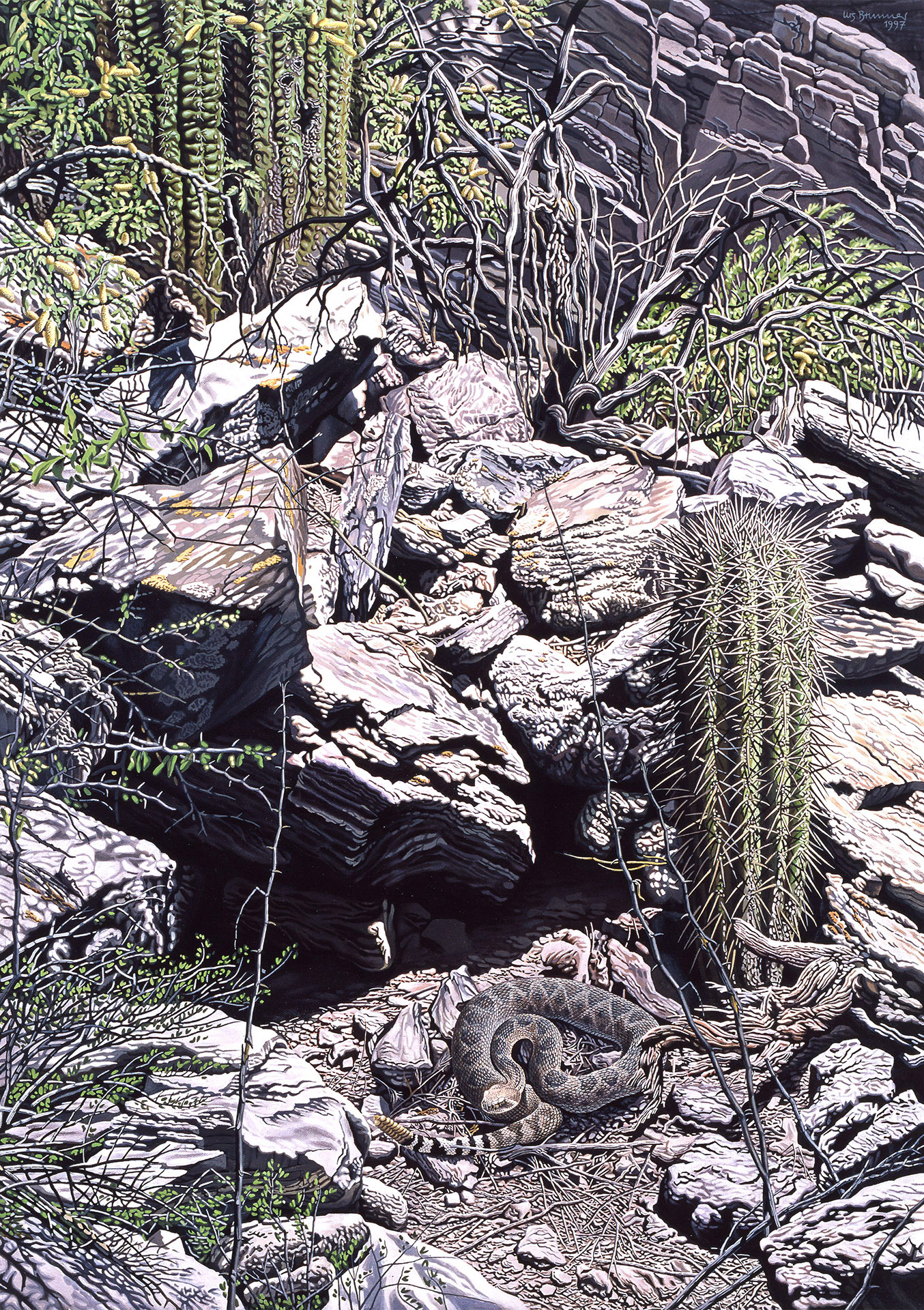 Schlangen-Habitat III / Westliche Diamant-Klapperschlange / Arizona Wüstengebirge, 1997, Acryl auf Leinwand, 92 x 65 cm