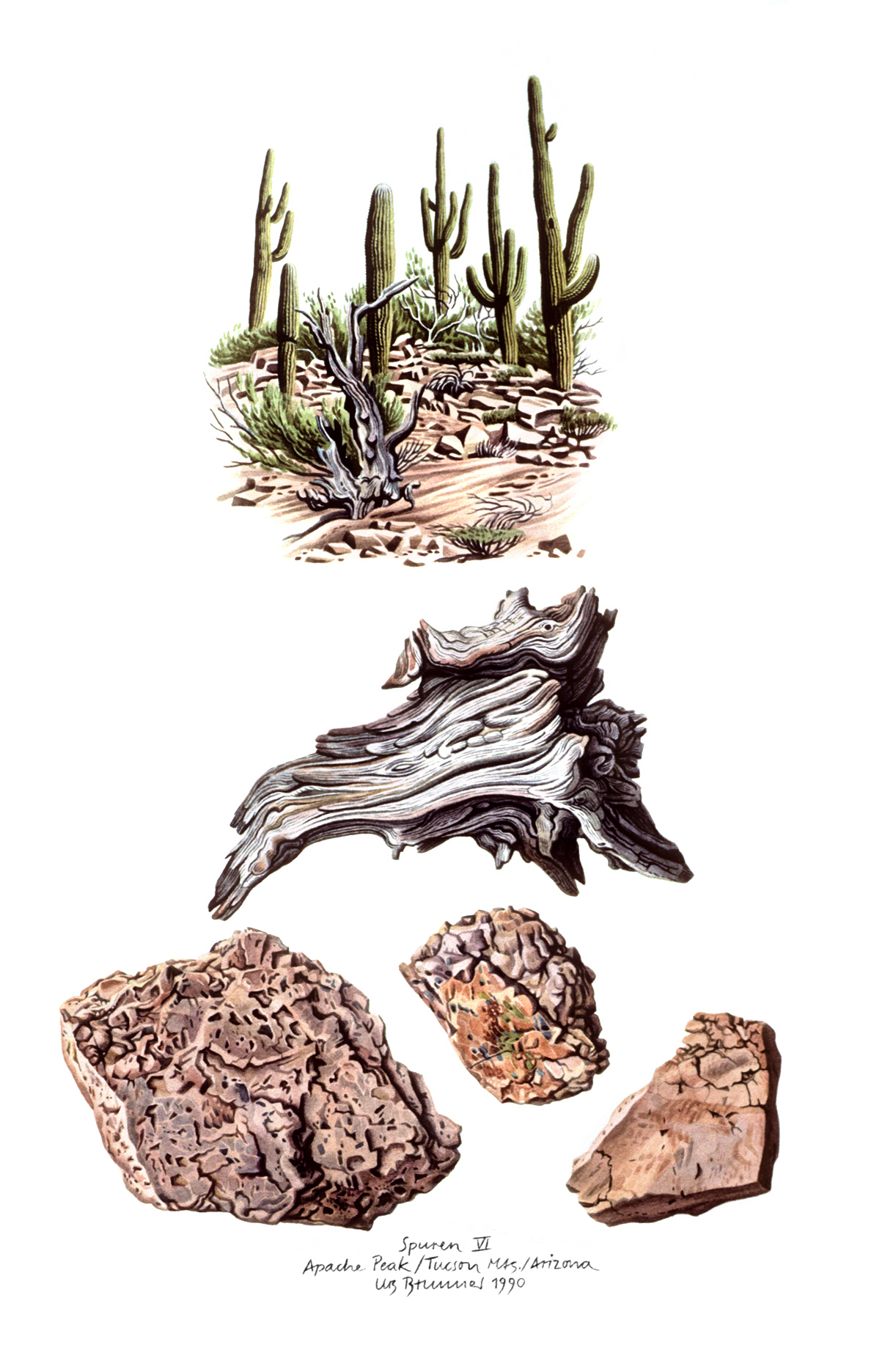 Spuren Vl / Fundstücke / Apache Peak, 1990, Aquarell auf Papier, 40 x 30 cm